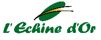 https://esbelfaux.ch/wp-content/uploads/2025/08/Echine-dor.png