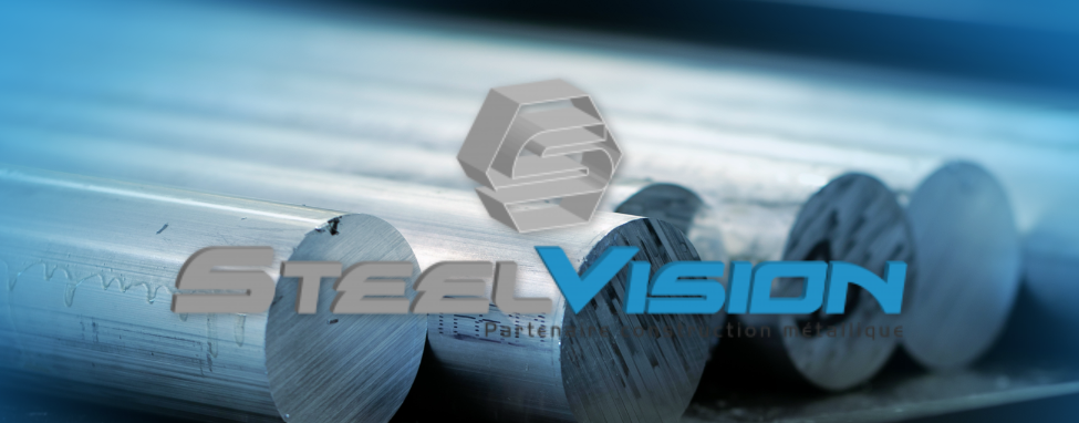 https://esbelfaux.ch/wp-content/uploads/2025/08/Steelvision.png